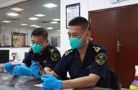 广州海关查获珍稀濒危植物：4件沉香木手串被扣押