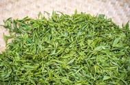 绿茶的种类繁多，你知道有哪些吗？